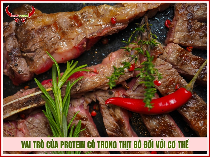 Vai trò của protein có trong thịt bò đối với cơ thể