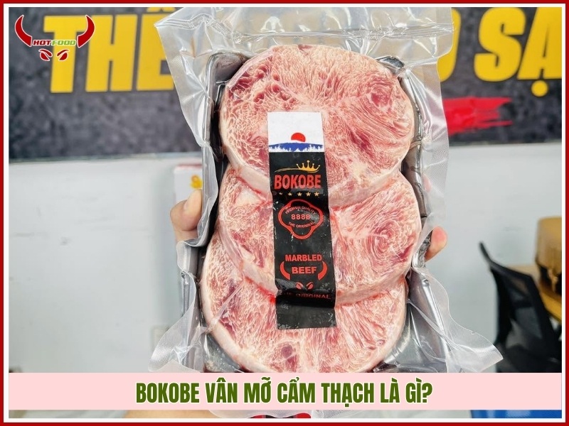 BOKOBE vân mỡ cẩm thạch là gì?