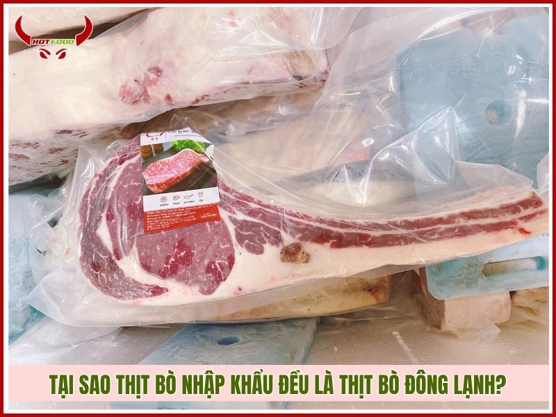 Tại sao thịt bò nhập khẩu đều là thịt bò đông lạnh?