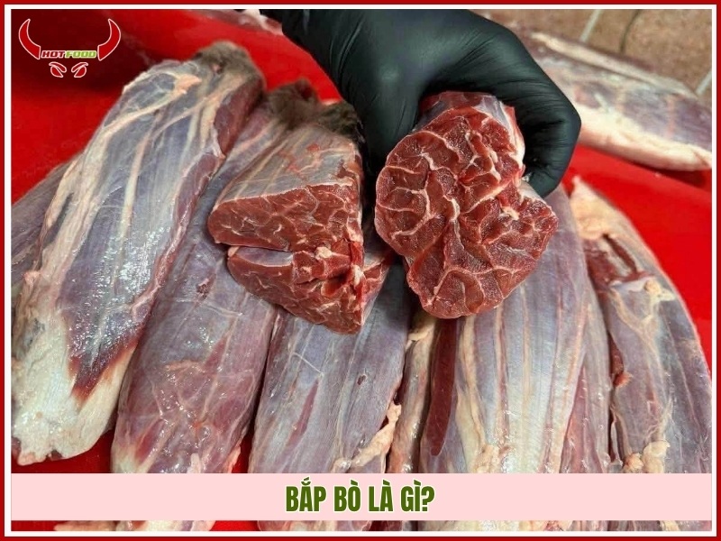 Bắp bò là gì?
