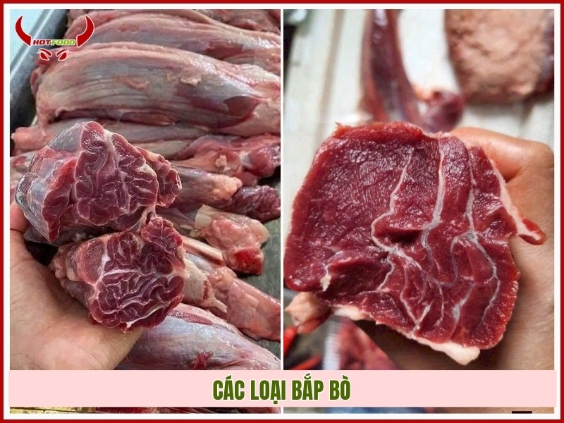 Các loại bắp bò
