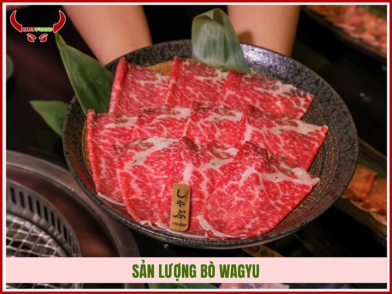 Sản lượng bò Wagyu