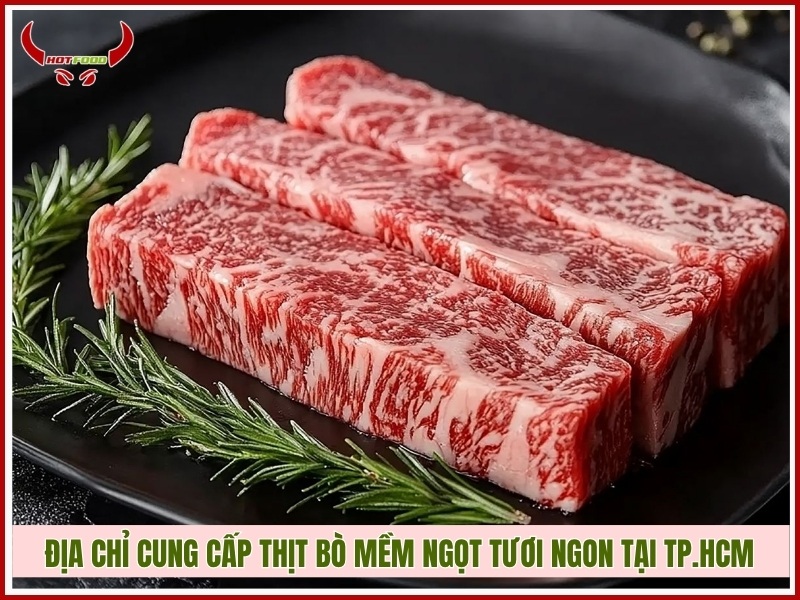 Địa chỉ cung cấp thịt bò mềm ngọt tươi ngon tại TP.HCM