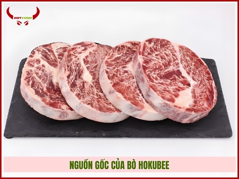 Nguồn gốc của bò Hokubee