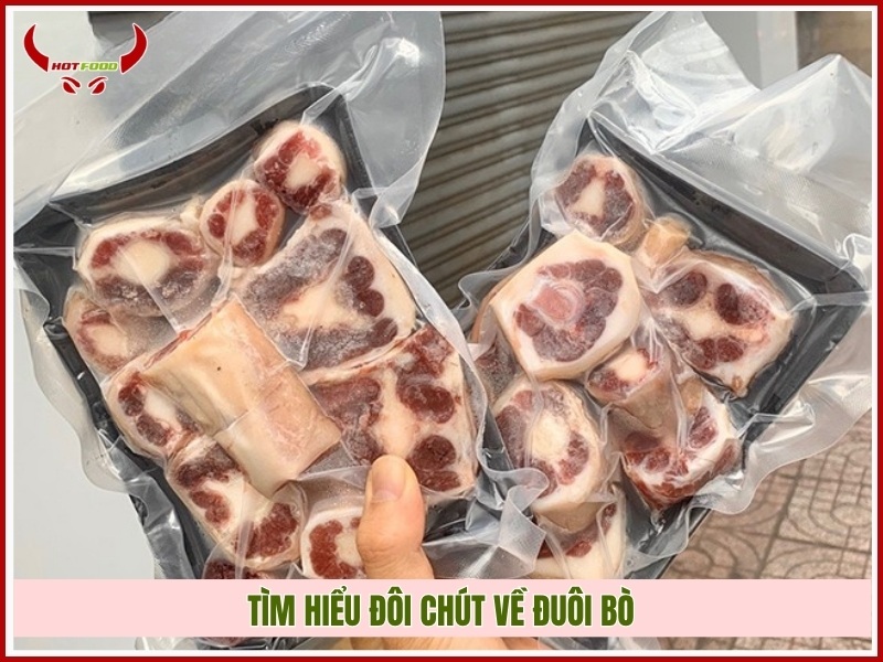 Tìm hiểu đôi chút về đuôi bò
