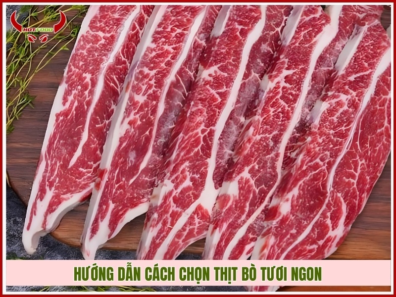 Hướng dẫn cách chọn thịt bò tươi ngon