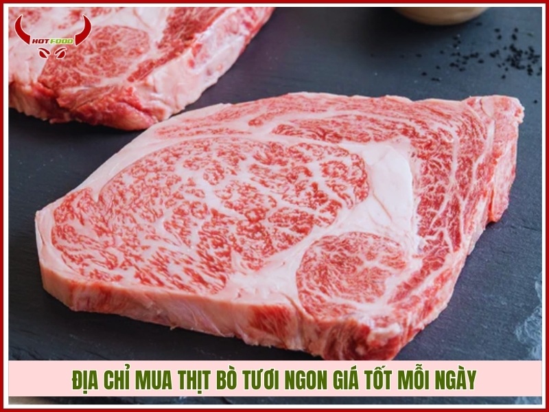 Địa chỉ mua thịt bò tươi ngon giá tốt mỗi ngày
