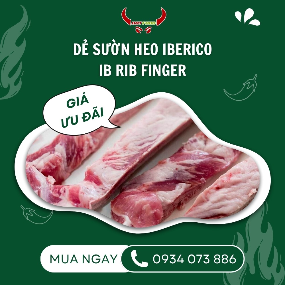 doi net ve de suon heo iberico