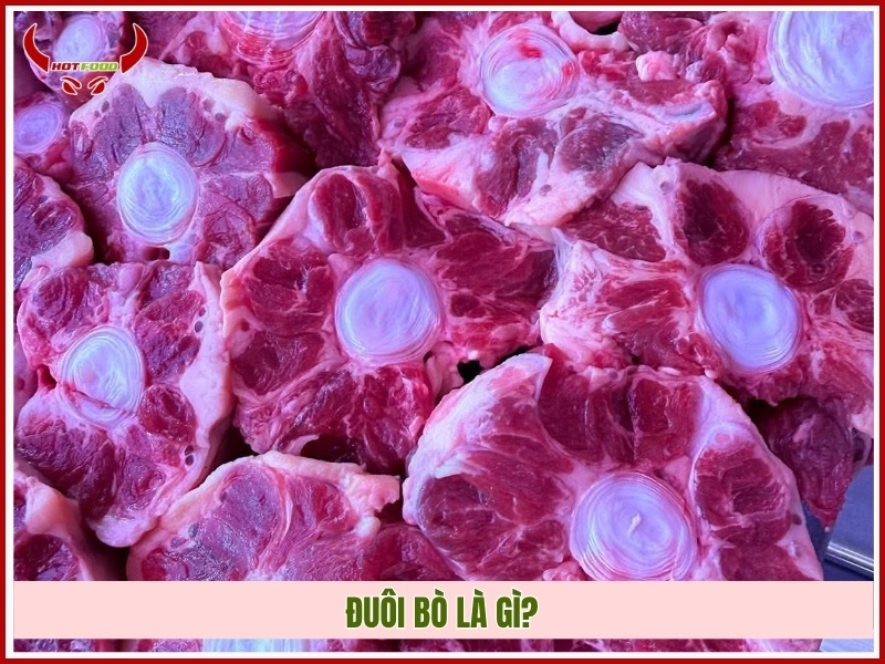 Đuôi bò là gì?