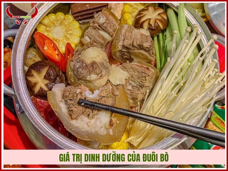 Giá trị dinh dưỡng của đuôi bò