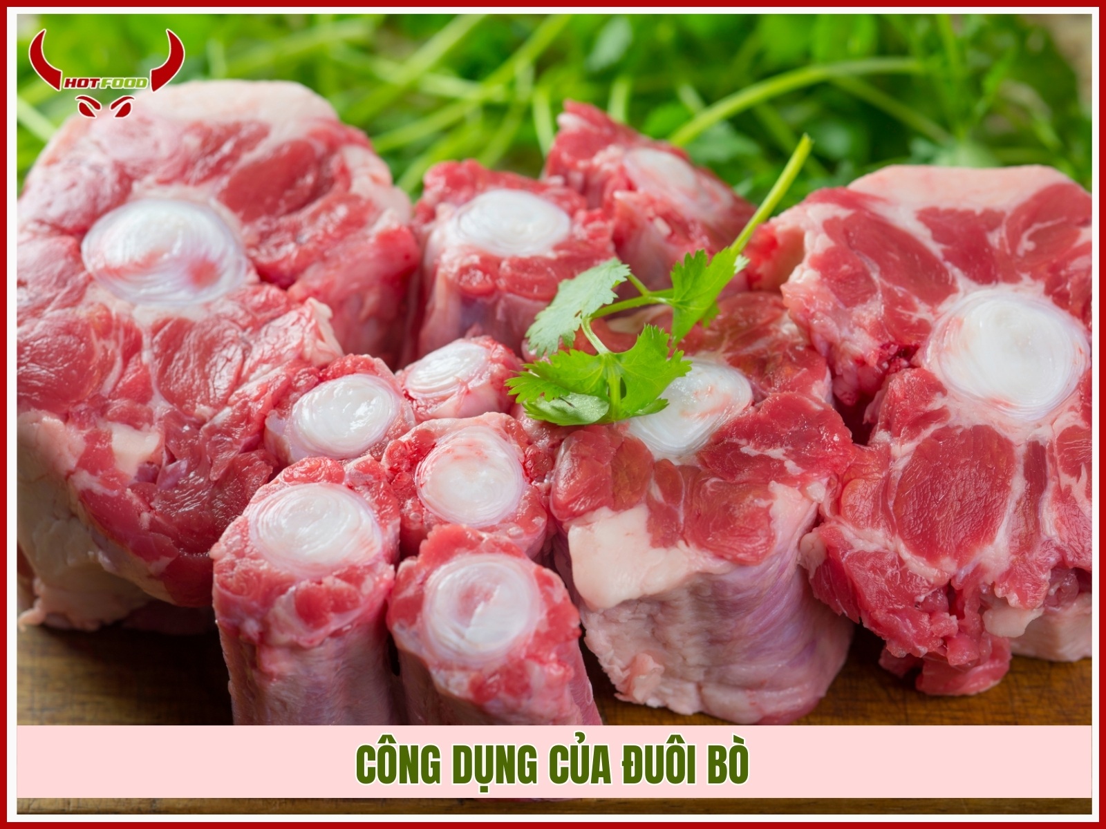 Cong dung cua duoi bo