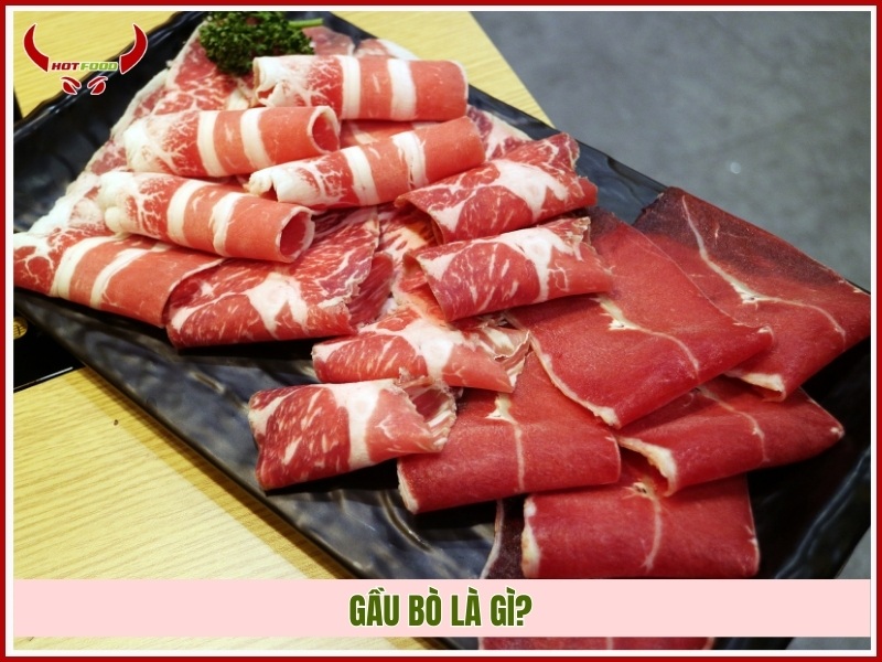 Gầu bò là gì?