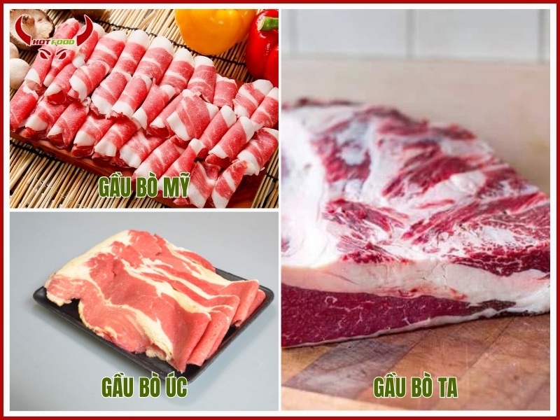Phân biệt các loại gầu bò