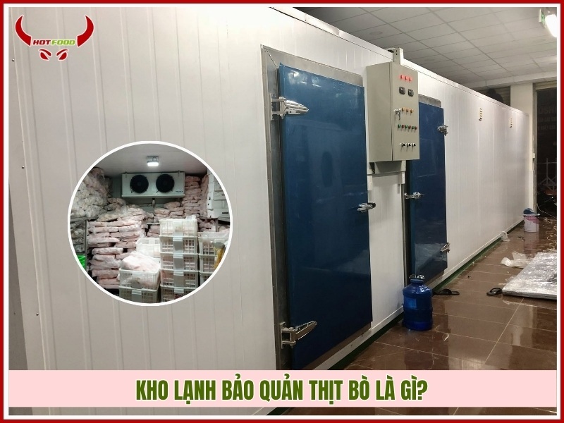Kho lạnh bảo quản thịt bò là gì?