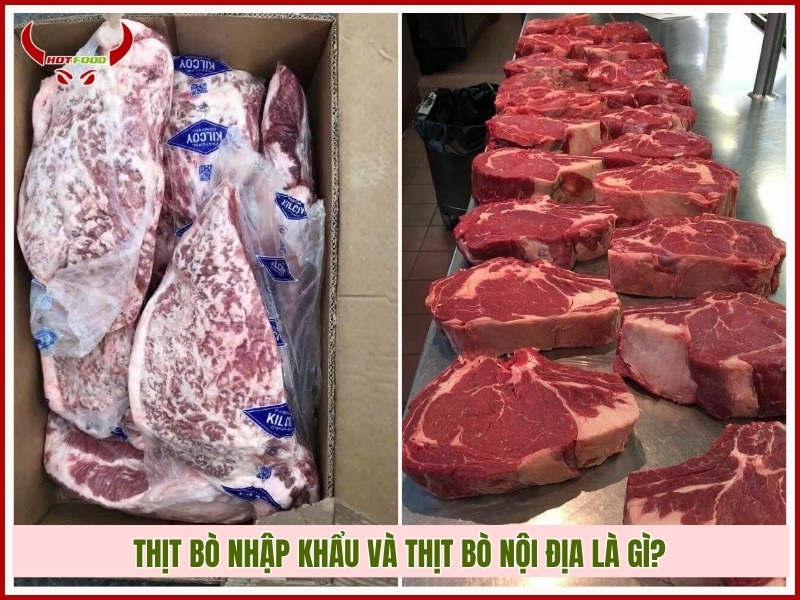Thịt bò nhập khẩu và thịt bò nội địa là gì?