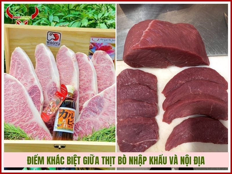 điểm khác biệt giữa thịt bò nhập khẩu và nội địa