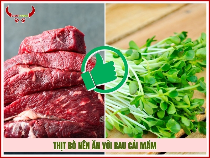 Thịt bò nên ăn với rau cải mầm