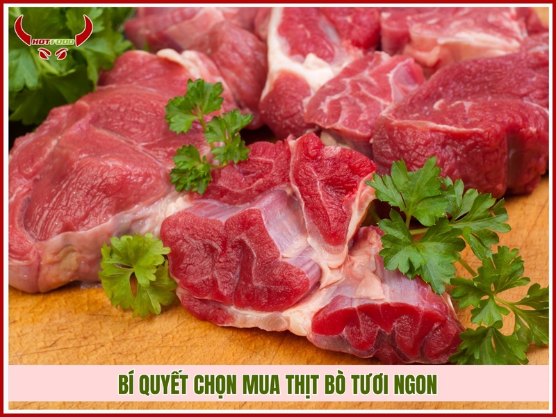 Bí quyết chọn mua thịt bò tươi ngon