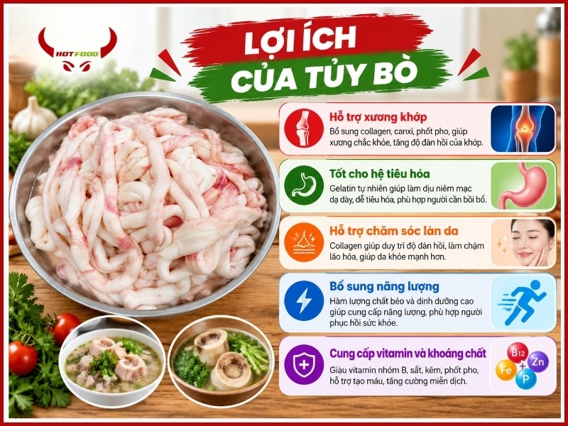 Lợi ích của tủy bò