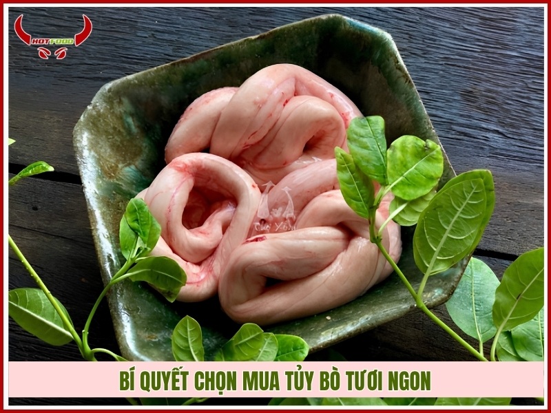 Bí quyết chọn mua tủy bò tươi ngon
