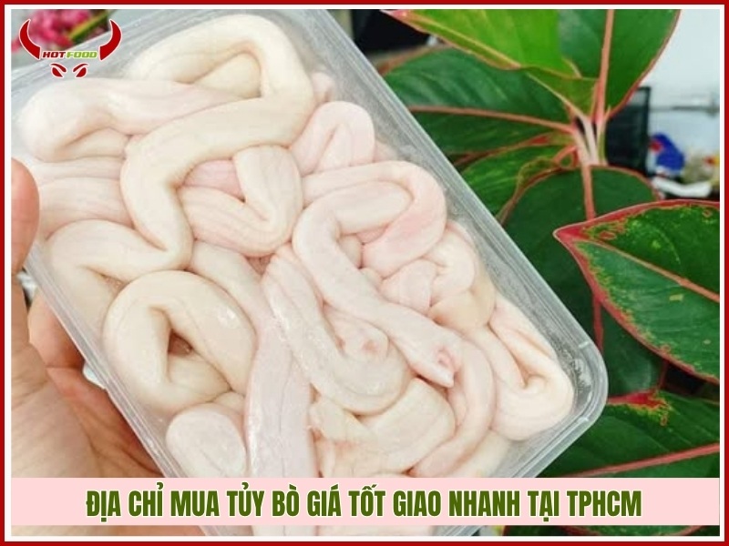Địa chỉ mua tủy bò giá tốt giao nhanh tại TPHCM