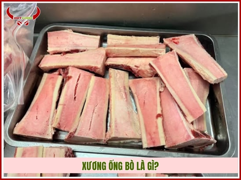Xương ống bò là gì?