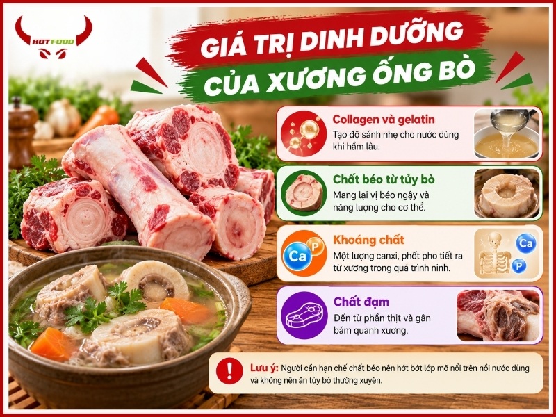 Giá trị dinh dưỡng của xương ống bò