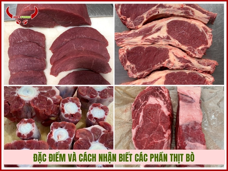 Đặc điểm và cách nhận biết các phần thịt bò