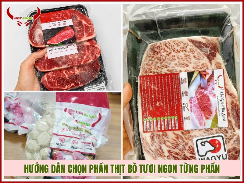 Hướng dẫn chọn phần thịt bò tươi ngon từng phần