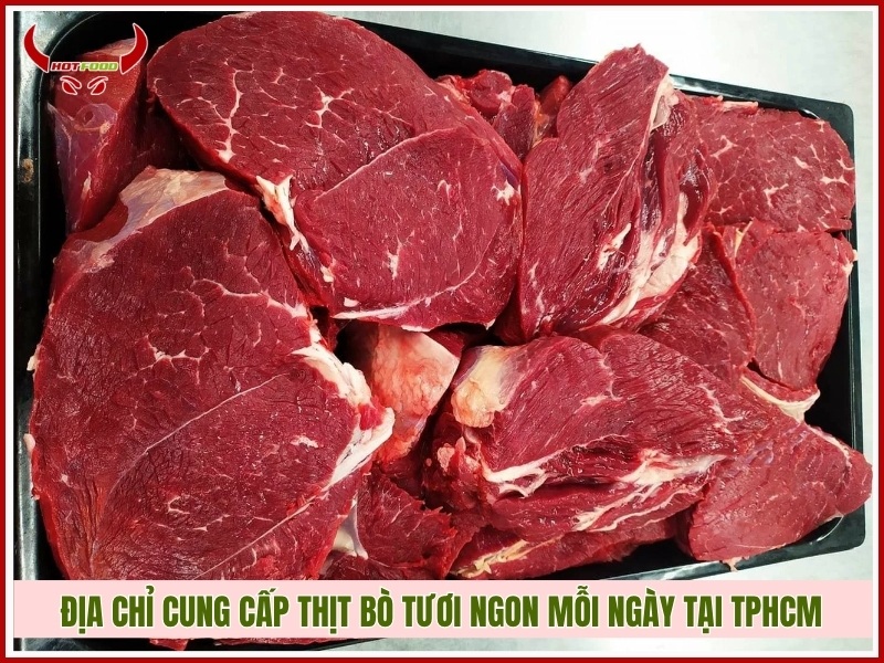 Địa chỉ cung cấp thịt bò tươi ngon mỗi ngày tại TPHCM