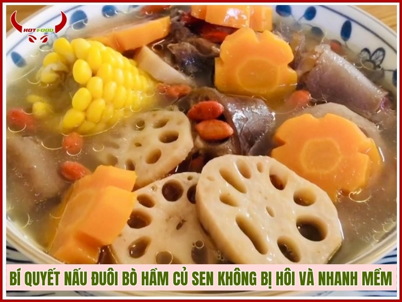 Bí quyết nấu đuôi bò hầm củ sen không bị hôi và nhanh mềm