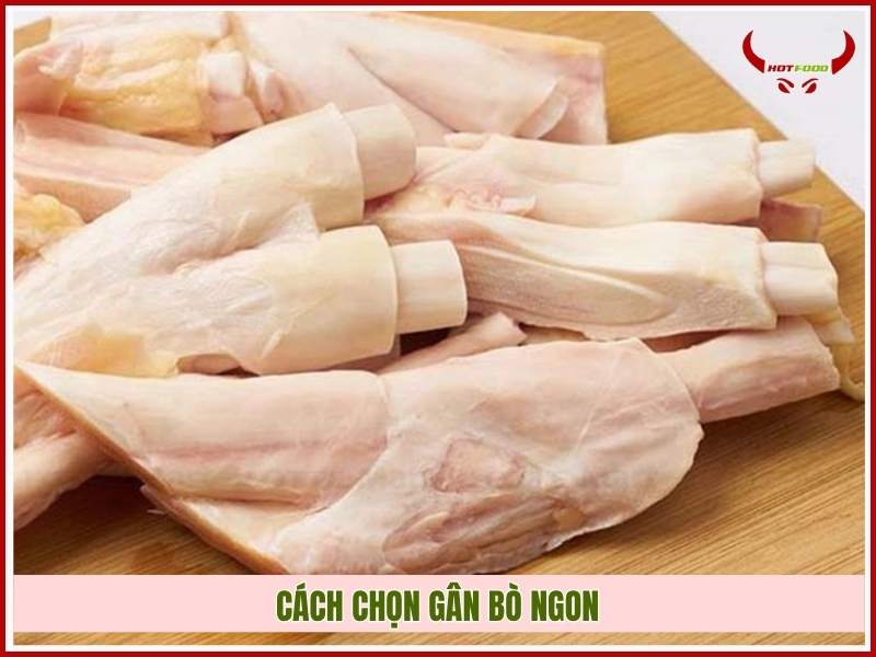 Cách chọn gân bò ngon