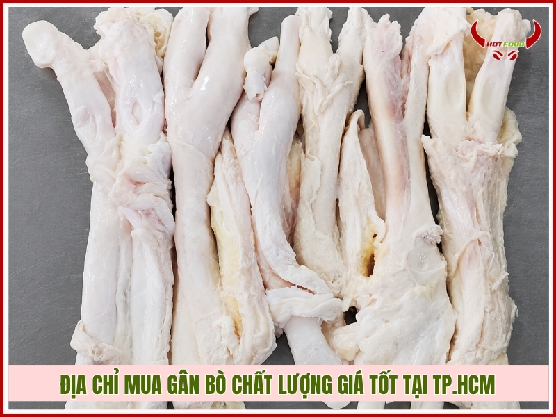 Địa chỉ mua gân bò chất lượng giá tốt tại TP.HCM