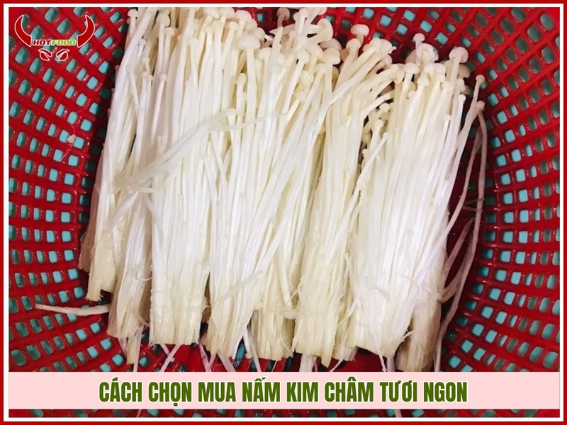 Cách chọn mua nấm kim châm tươi ngon