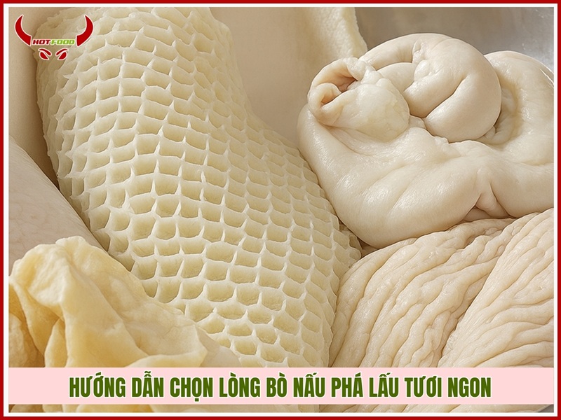 Hướng dẫn chọn lòng bò nấu phá lấu tươi ngon