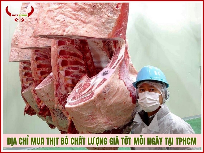 Địa chỉ mua thịt bò chất lượng giá tốt mỗi ngày tại TPHCM