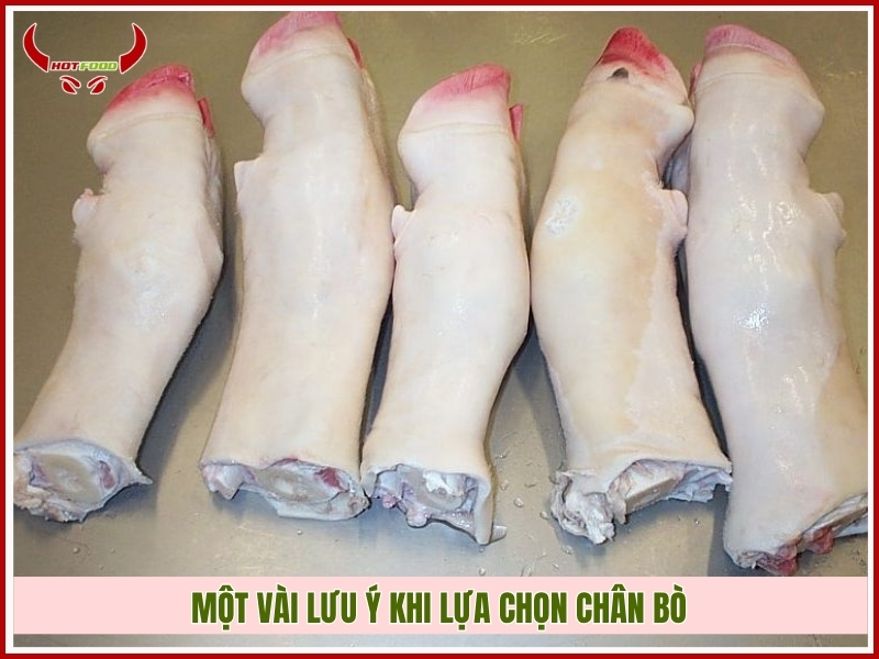 Một vài lưu ý khi lựa chọn chân bò