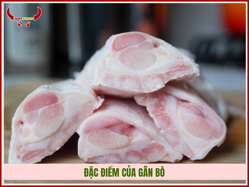 Đặc điểm của gân bò