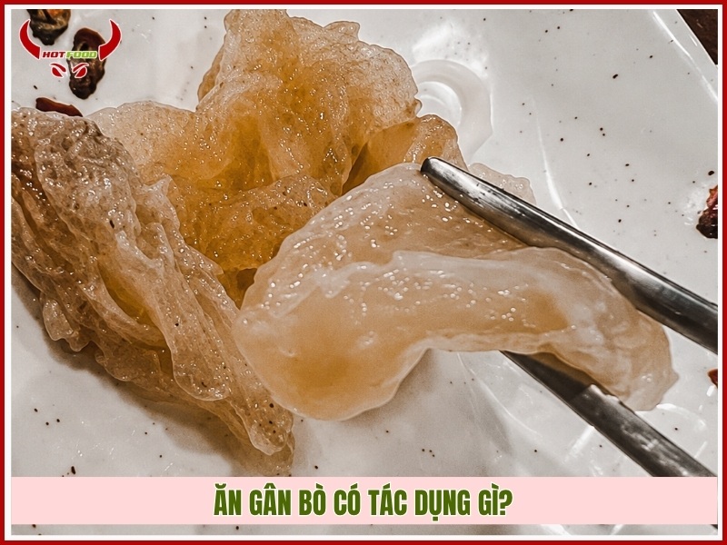 Ăn gân bò có tác dụng gì?