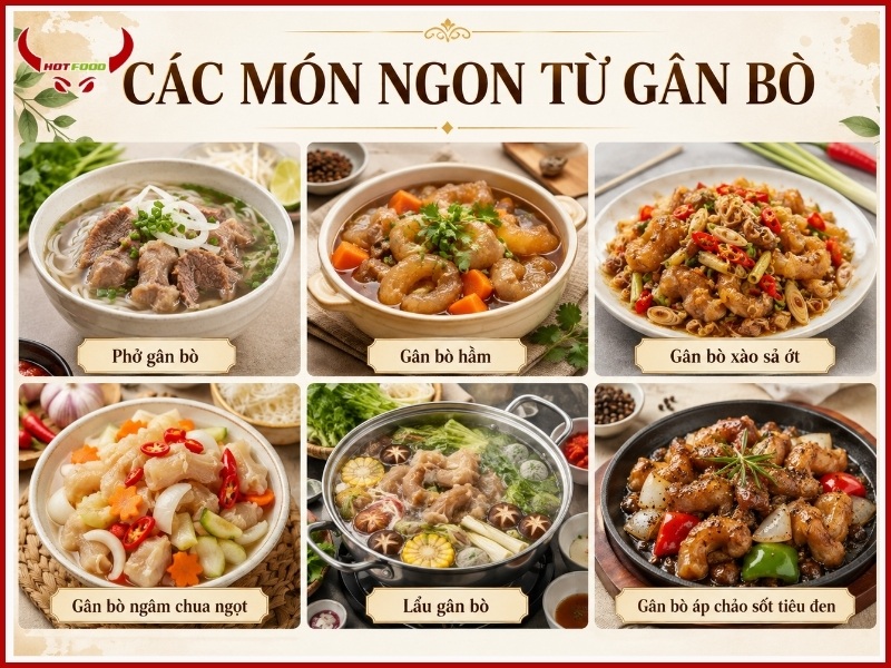 Các món ngon từ gân bò