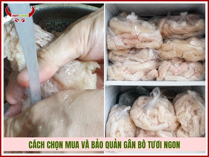Cách chọn mua và bảo quản gân bò tươi ngon