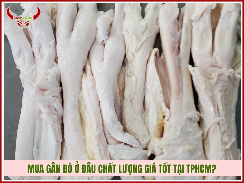 Mua gân bò ở đâu chất lượng giá tốt tại TPHCM?