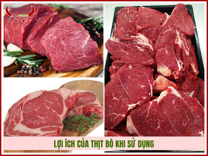 Lợi ích của thịt bò khi sử dụng