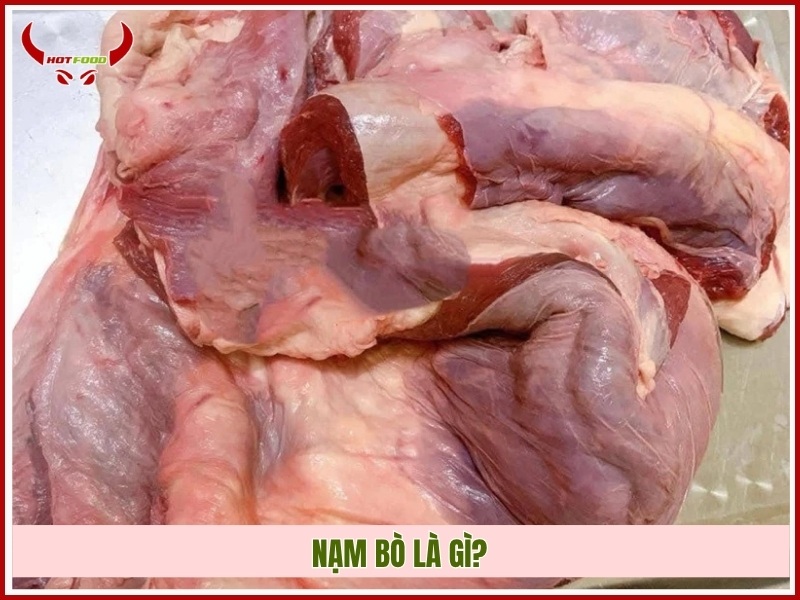 Nạm bò là gì?