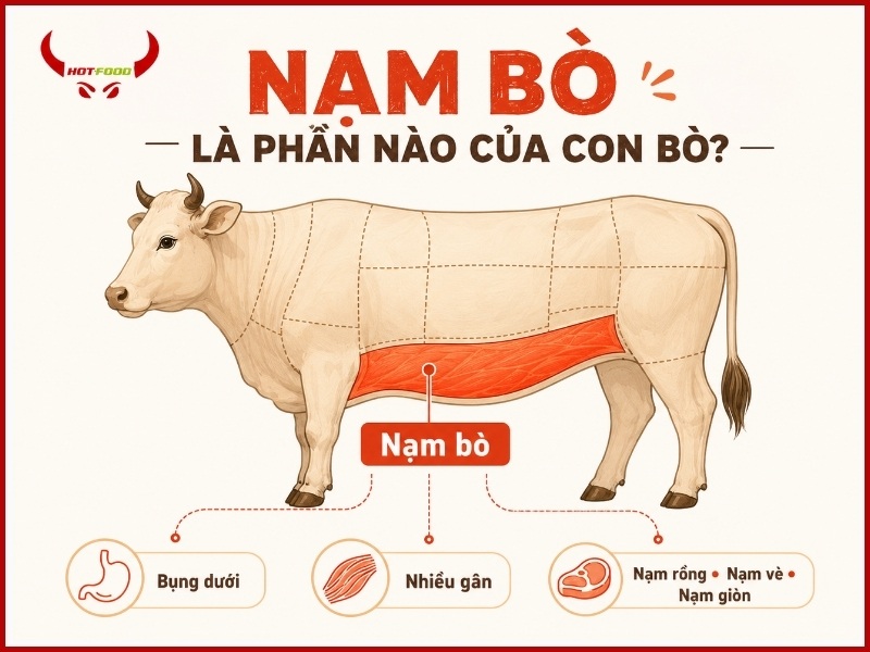 Nạm bò là phần nào của con bò?