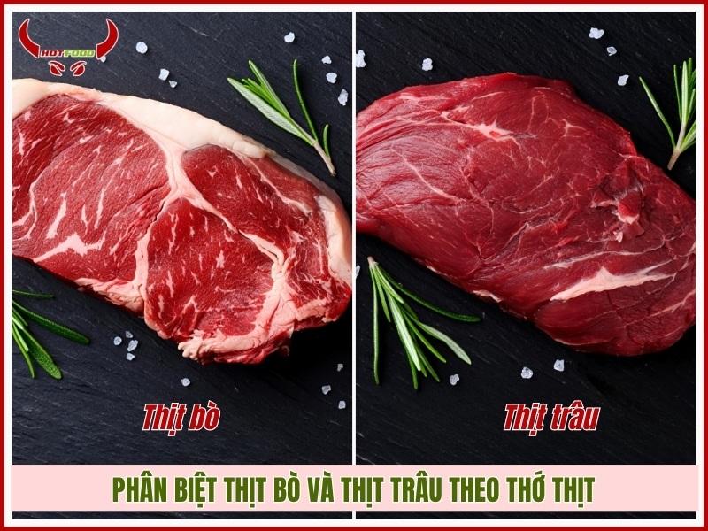 cách phân biệt thịt bò và thịt trâu theo thớ thịt