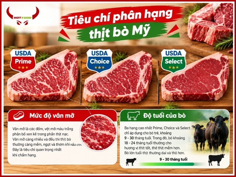 Thịt bò Mỹ được phân hạng dựa trên tiêu chí nào?