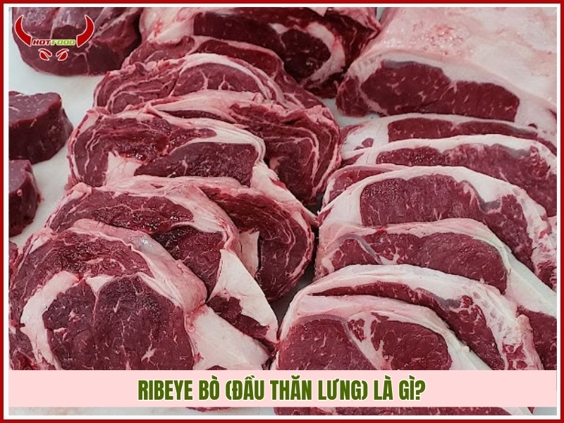 Ribeye bò (Đầu thăn lưng) là gì?