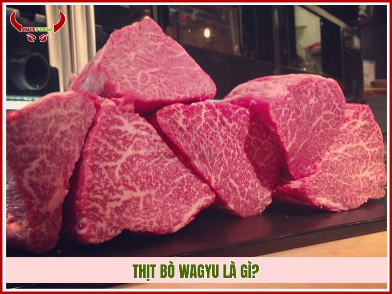 Thịt bò Wagyu là gì?
