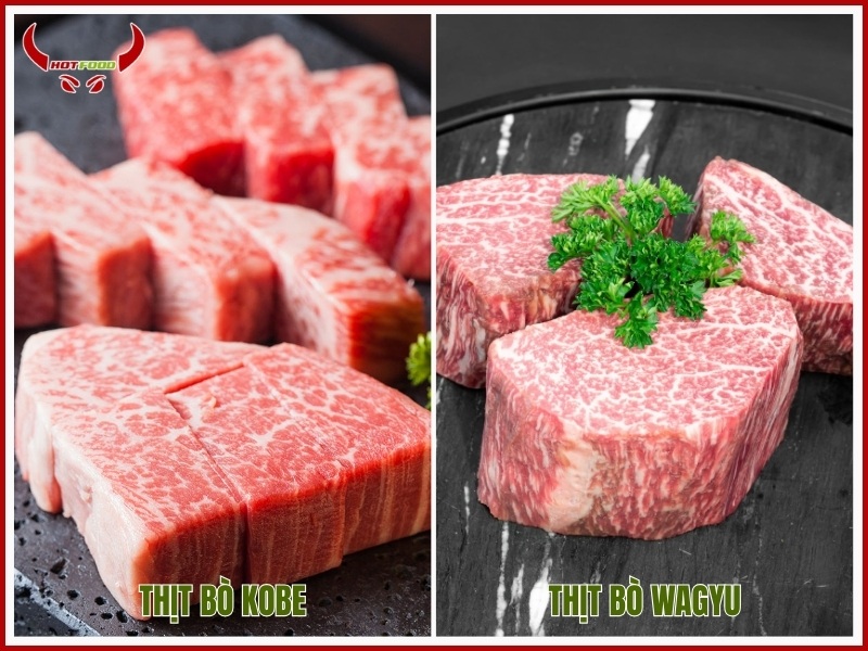 Sự khác nhau của bò Kobe và bò Wagyu
